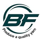 BF Enterprises Project
